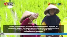 Jokowi Tinjau Program Pompa Air di Jawa Tengah untuk Atasi Kekeringan