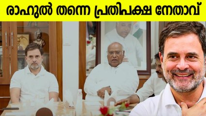 രാഹുൽ ​ഗാന്ധി പ്രതിപക്ഷ നേതാവ്; ഇന്ത്യ സഖ്യത്തിന്റെ യോ​ഗത്തിൽ തീരുമാനം
