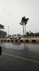 Family vlogs and shorts