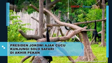 Jokowi Ajak Cucu Safari di Akhir Pekan