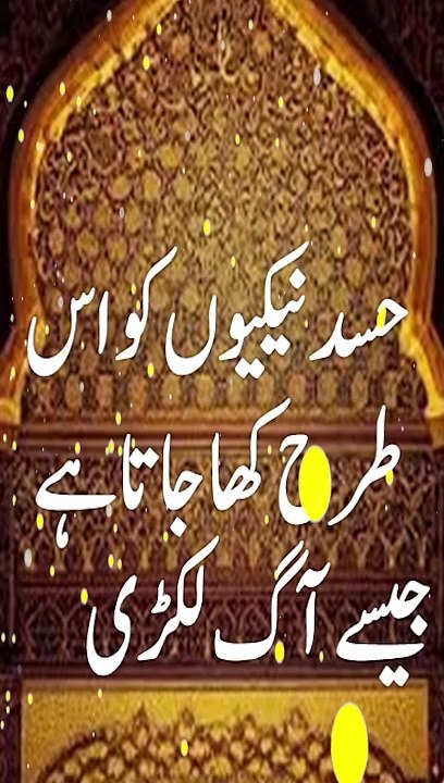 Islamic Short Quran-i-Ayahs Videos | Islamic Short Hadees Videos | Short Riddles |Short Natts | Sad