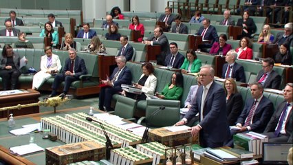 Prime Minister Albanese Welcomes Conclusion of Julian Assange's Legal Battle