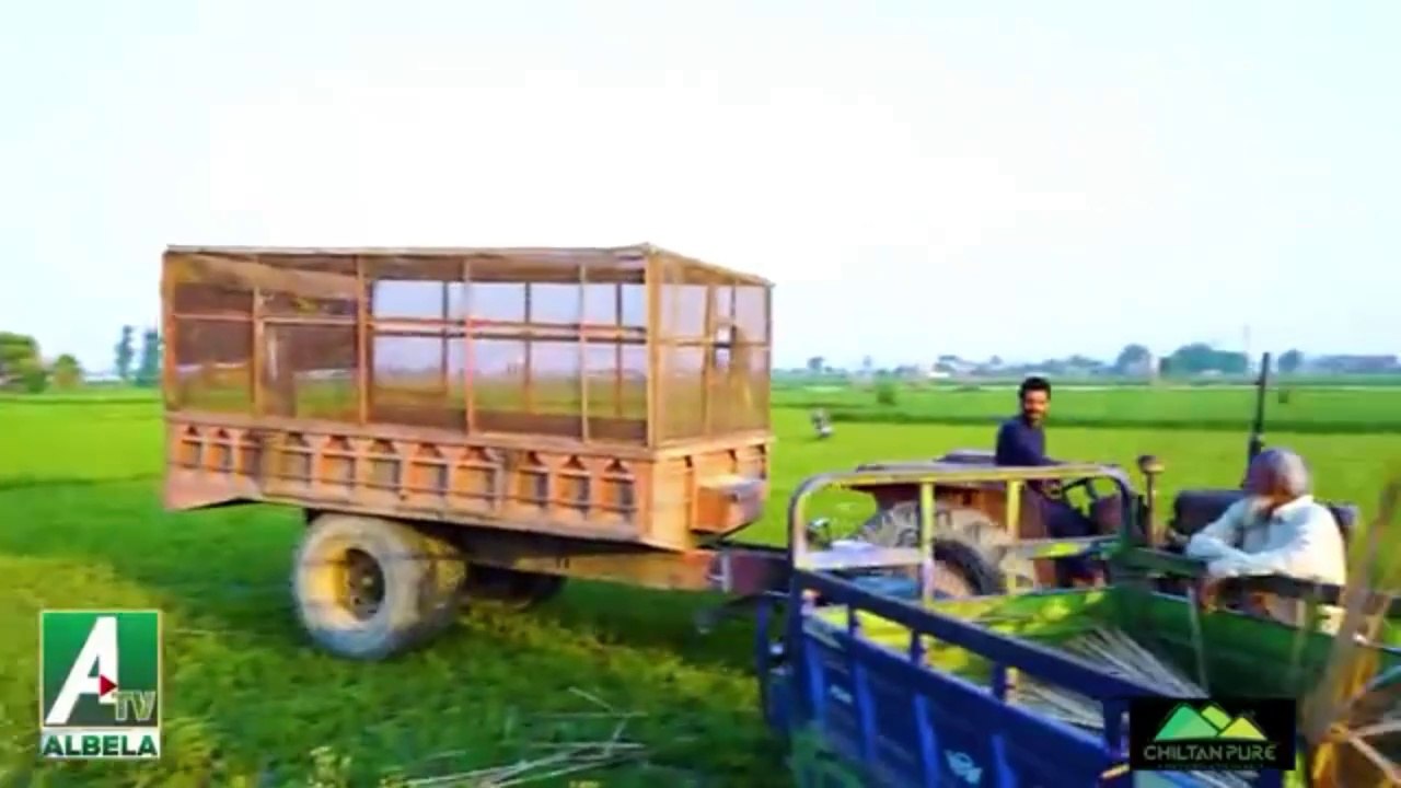 Goga Pasroori and Saleem Albela real Fighting | Very Funny Video Albela Tv