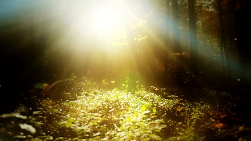 "Renewal Within: A Potent Meditation for New Beginnings"