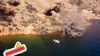 Wali tangi dam Quetta