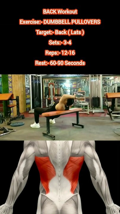 ❌ DUMBBELL PULLOVERS ✔️  How can I get Bigger BACK?  #heermlgangaputra #naturalbodybuilding #fitness #workout #exercise #gym #muscle #training