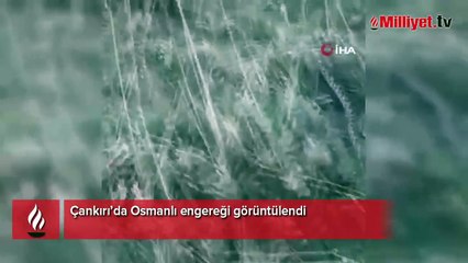 Çankırı’da Osmanlı engereği görüntülendi