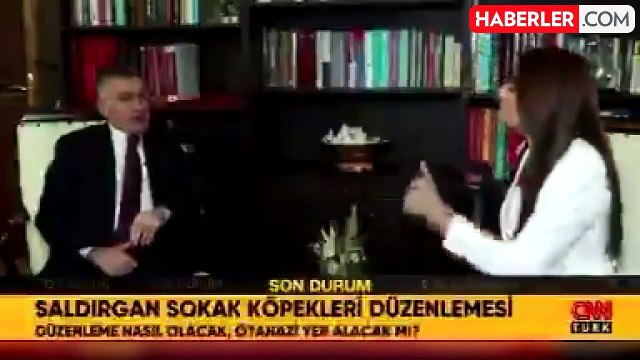 Cumhurbaşkanı Erdoğan'dan sokak köpekleri için talimat! Cumhurbaşkanı sokak köpekleriyle ilgili ne talimat verdi?