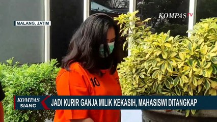 Jadi Kurir Ganja Milik Kekasih, Mahasiswi di Malang Ditangkap