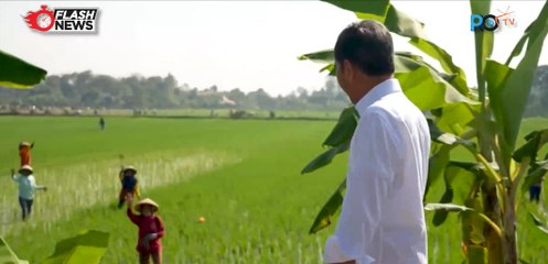 Jokowi Tinjau Program Bantuan Pompa Air di Jawa Tengah
