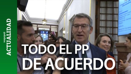 Fejóo afirma que ha hablado con Ayuso tras el acuerdo del CGPJ con PSOE
