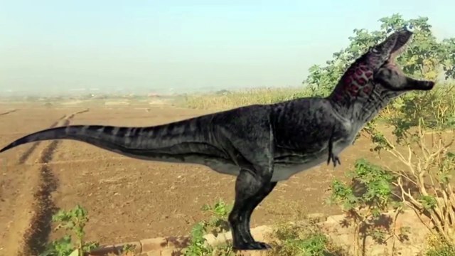 dinosaur t Roxy dinosaur dinosaurs roxy dinosaur battle best roxy dinosaurs big video t roxy best