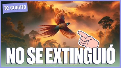 CREÍAMOS QUE ESTOS ANIMALES estaban MUERTOS pero NOS EQUIVOCAMOS 