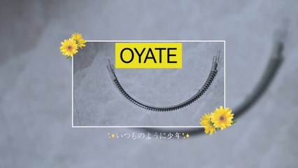 220v 1500w Carbon Fiber Infrared Heating Lamp