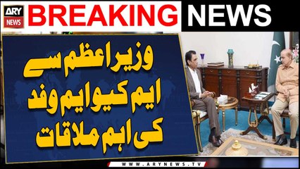 MQM Pakistan delegation meets PM Shehbaz
