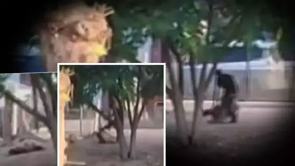 Sürüden ayrılan koyuna şiddet uyguladı!