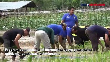 Presiden Jokowi Bagikan 31 Pompa ke Petani di Kotawaringin Timur
