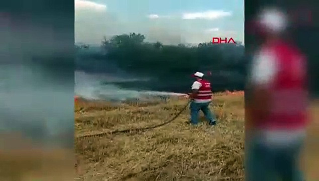 Edirne'de anız yangını ormanlık alana sıçradı
