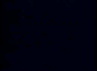 California Dreams - Yoko, Oh No! (7)