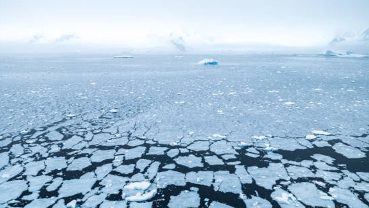 El Rápido Deshielo De La Antártida Causará Daños Irreversibles