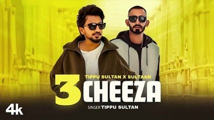 3 CHEEZA, Official Video, Tippu Sultan Sultaan, Latest Punjabi Songs 2024