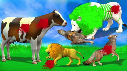 Clever Cow fight with Lion | Chalak Gaay ne Sher ko Bewakoof Bnaya | Animal stories in Urdu & Hindi
