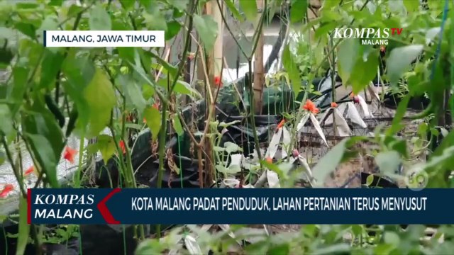 Warga Perkotaan Manfaatkan Ponsel Pintar untuk Permudah Bertani