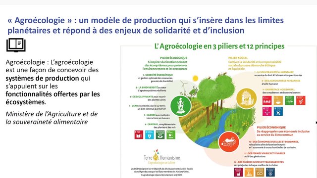 Les mots des transitions | Webinaire 3 : Prospérité (Cycle : Effondrement, croissance verte et prospérité )