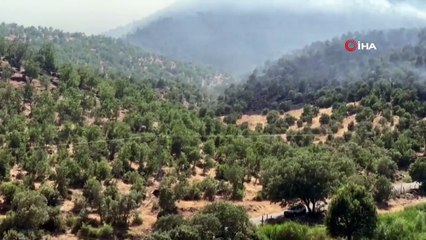 Diyarbakır'da orman yangınına havadan ve karadan müdahale