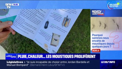 Pourquoi sommes-nous envahis de moustiques depuis quelques jours? BFMTV répond à vos questions