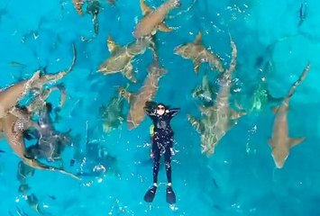 Woman conquers her fear by swimming with over 20 sharks