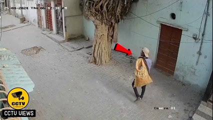 Bhikara Chori kr rha hai zra ghoor sy dekhin