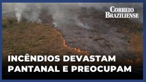 INCÊNDIOS DEVASTAM ÁREAS SENSÍVEIS DO PANTANAL E PREOCUPAM AGRICULTORES