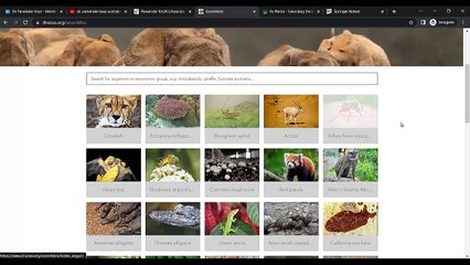 dr. parwinder kaur australia with intro