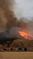 Importante incendio forestal en el Cerro del Viso