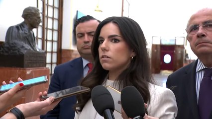 Vox revisará los acuerdos territoriales si el PP acepta el reparto de menores migrantes de Clavijo y Torres