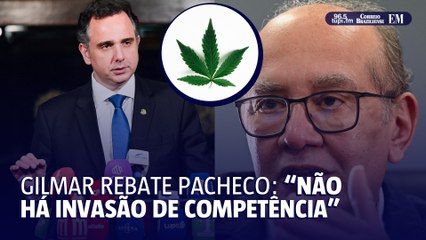 Gilmar Mendes responde a Pacheco sobre Legalização da Maconha 🚨