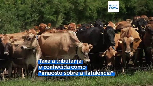 Dinamarca anuncia imposto sobre os gases emitidos pelo gado