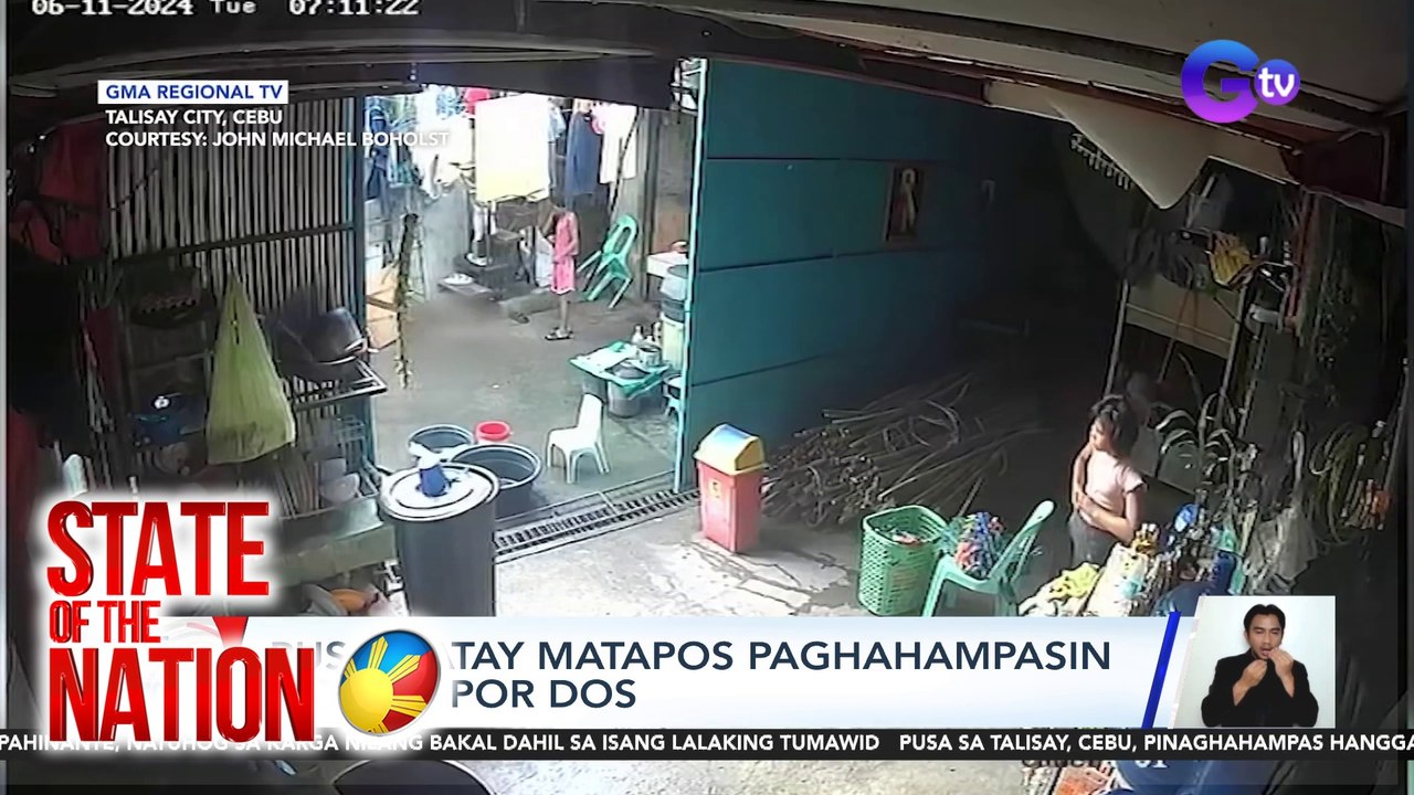 Pusa, patay matapos paghahampasin ng dos por dos | SONA