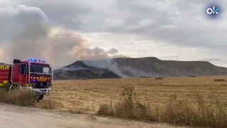 Un incendio forestal arrasa varias hectáreas de monte cerca de Alcalá de Henares