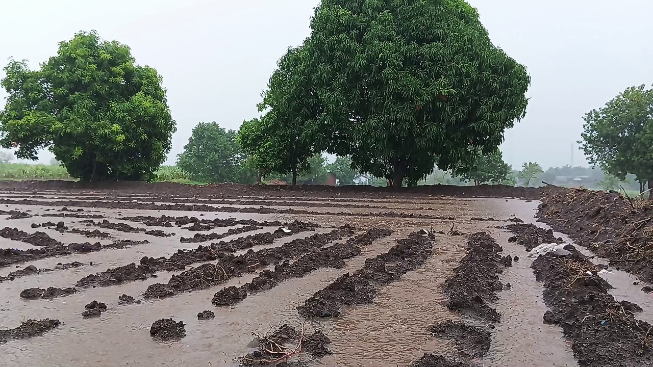 Rain in Village