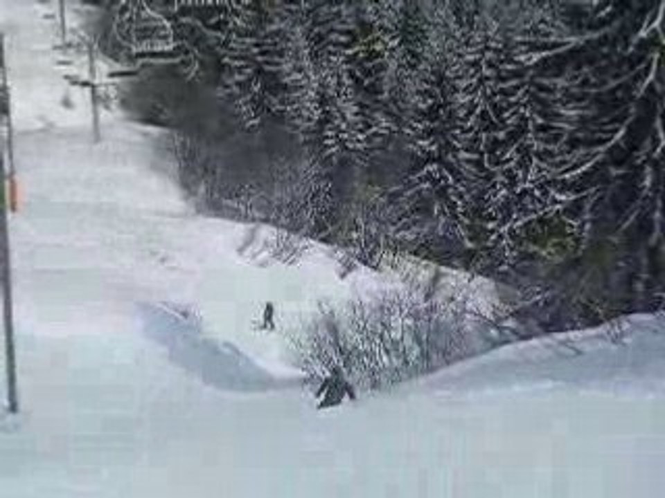 DSCN6516