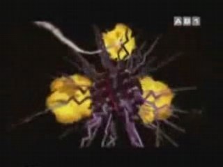 AMV Vandread -Trust-