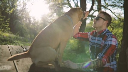 A Dog's Love Is Good for Your Health, Study Suggests