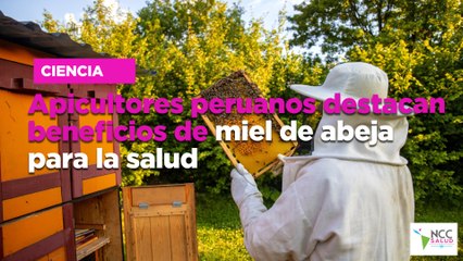 Apicultores peruanos destacan beneficios de miel de abeja para la salud