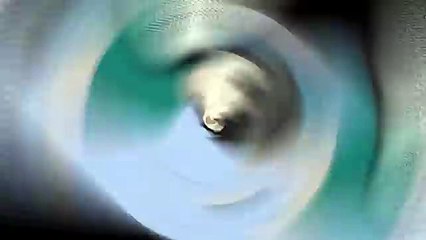 The Wicked-Tongued Beautiful Hostess Girl Is Actually My Fiancée and Lives with Me...