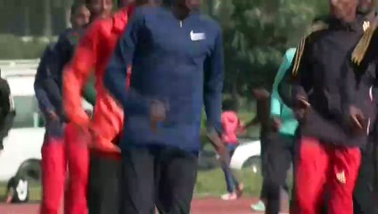 Casi un tercio de los adultos en el mundo no se mueve lo suficiente para su salud