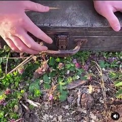 Found treasure chest
