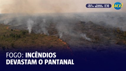 Incêndios devastam o Pantanal