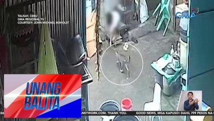 Pusa, patay matapos ilang beses hampasin ng kahoy | Unang Balita